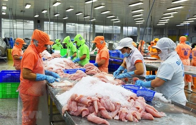 Seafood exports reached a record US$11 billion in 2022, up 24 per cent year-on-year and 22 per cent higher than the year’s target of $9 billion. (VNA)
