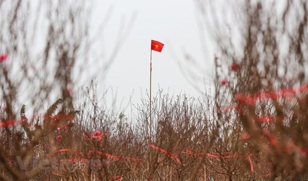 Cold weather to blanket northern Vietnam in Lunar New Year holidays: Forecasting Centre