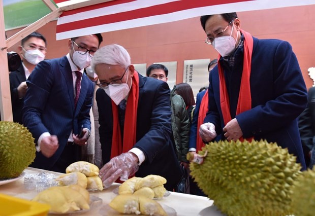 Vietnam looks to step up cooperation with China’s Tianjin city: Ambassador Vietnam looks to step up cooperation with China’s Tianjin city: Ambassador