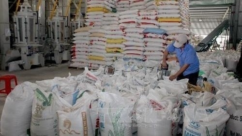 Positive signals for rice exports in 2023