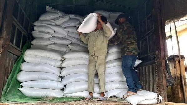 Rice supply for seven provinces for Lunar New Year Tet