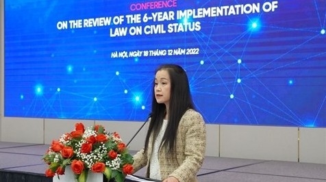 Vietnam makes great efforts in modernization of civil registration: UNFPA Representative