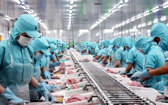 Vietnam&rsquo;s aquaculture exports face many other barriers: official