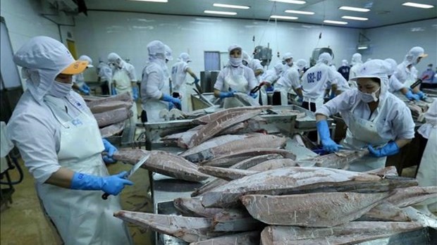 Tuna becomes billion-dollar export for first time: VASEP