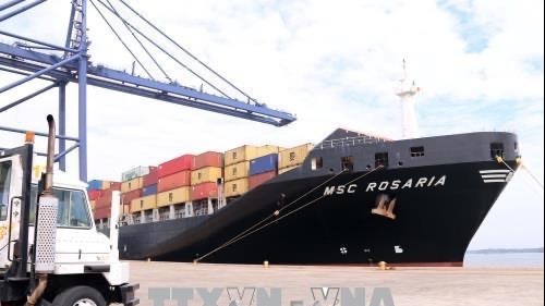 Seaports nationwide busy through Lunar New Year holiday