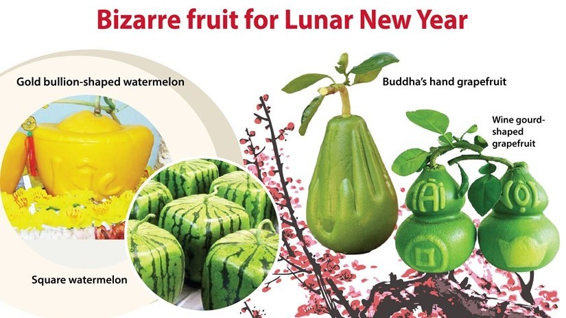 Bizarre fruit for Lunar New Year