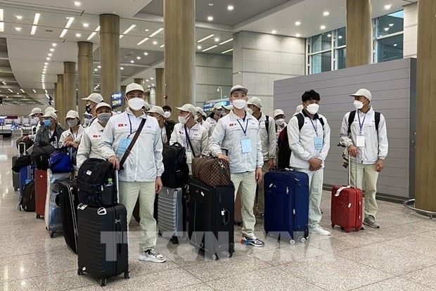 Vietnam expects to send 10,000 guest workers to RoK this year Vietnam expects to send 10,000 guest workers to RoK this year