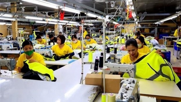 Labour market improves, sending good news to workers: Saigon Times