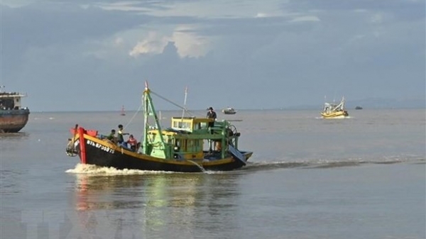 Binh Thuan province works to fight IUU fishing