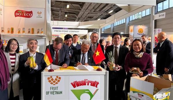 Vietnamese fruits promoted at Fruit Logistica in Berlin
