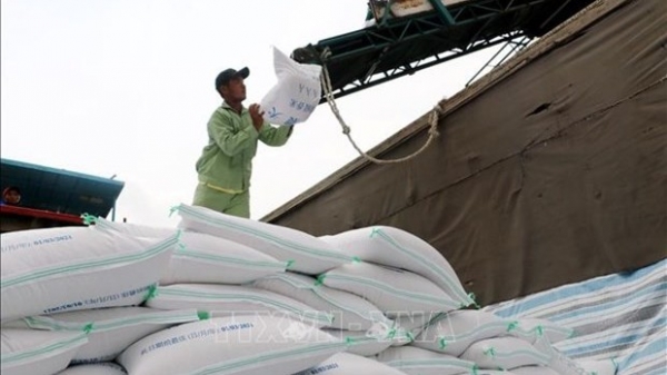 Vietnam’s rice exports forecast to reach 6 million tonnes this year