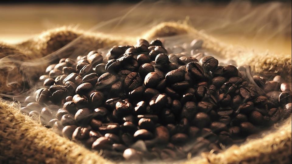 To seek ways to build high-quality Vietnamese coffee chain