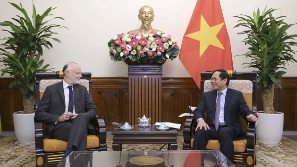 Foreign Minister Bui Thanh Son receives former French Prime Minister