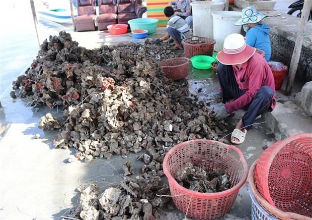 Vietnam, Japan boost cooperation in oyster production chains
