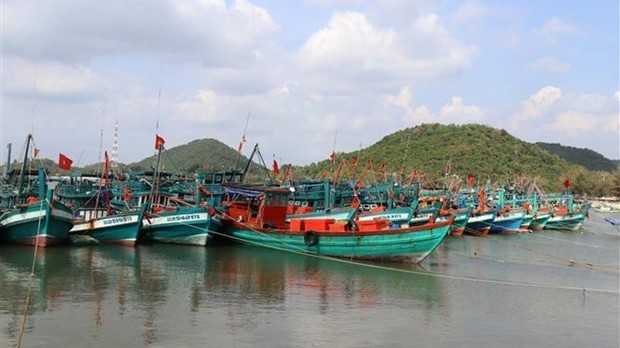 Deputy PM Tran Luu Quang signed Action plan on fighting IUU fishing