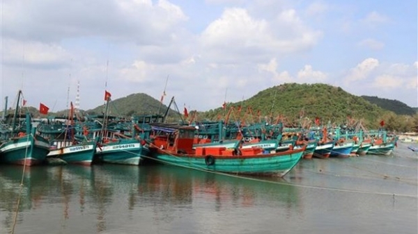 Deputy PM Tran Luu Quang signed Action plan on fighting IUU fishing