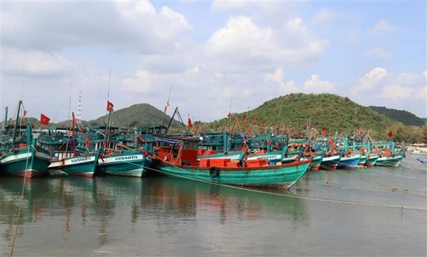 Deputy PM Tran Luu Quang signed action plan on fighting IUU fishing