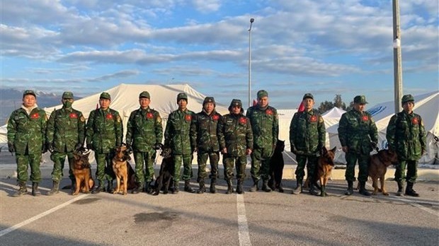 Vietnam’s search-and-rescue dogs work effectively in Turkey