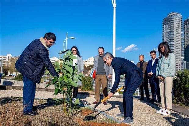 Tree-planting ceremony marks 30th Vietnam-Israel diplomatic ties anniversary