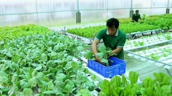 Vietnam to boost export of organic products to Europe