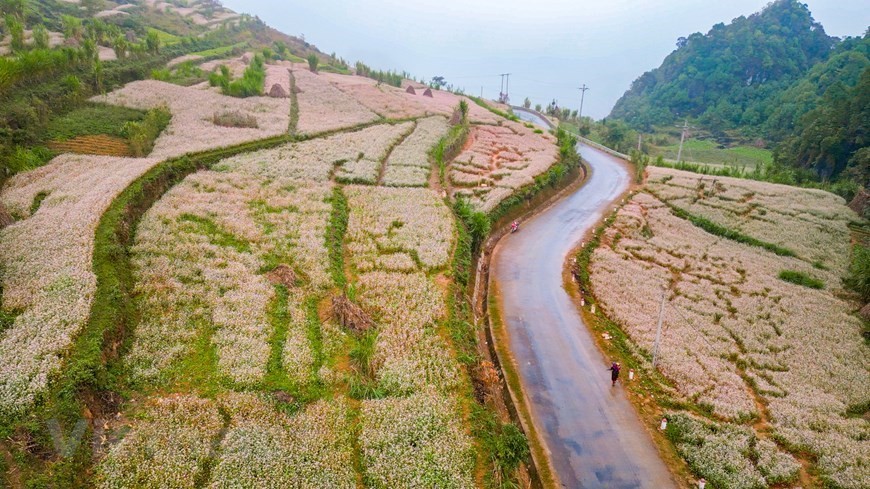 Ha Giang: Silk-like river in deepest canyon in Southeast Asia
