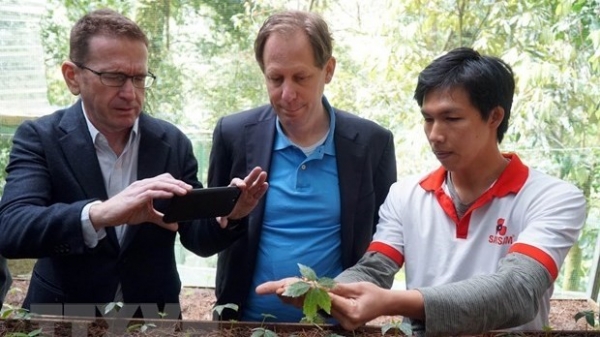 Foreign experts inspect Ngoc Linh ginseng cultivation in Quang Nam