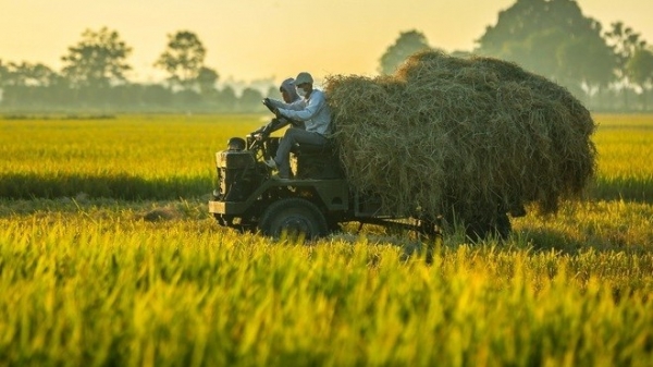 Vietnam’s rice exports to enjoy favourable conditions in 2023