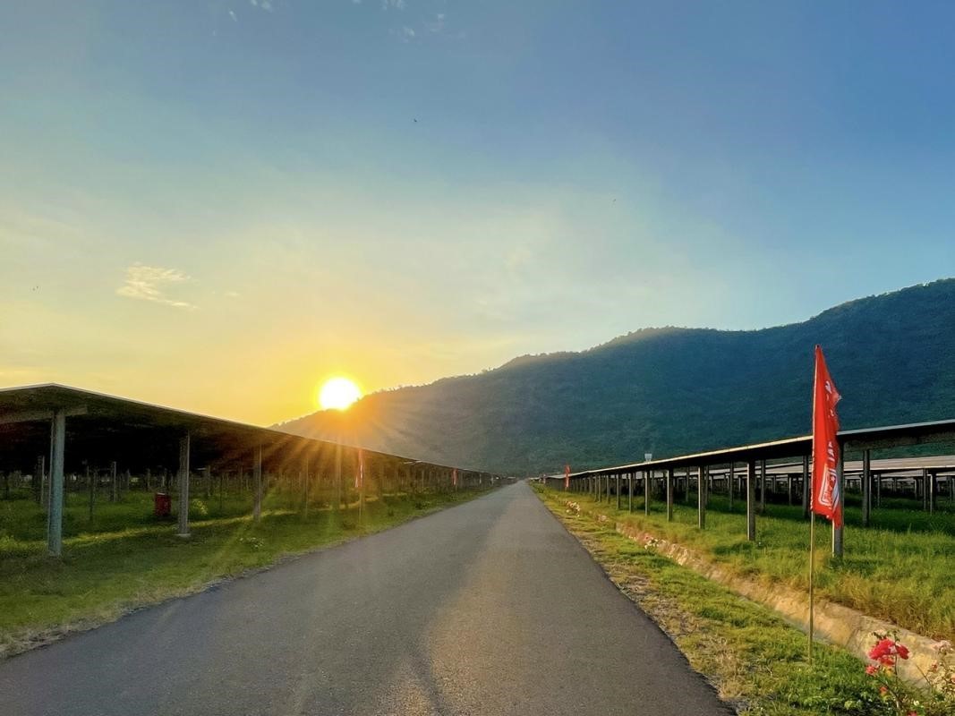 An awe-inspiring image of daybreak at An Hao Solar Farm