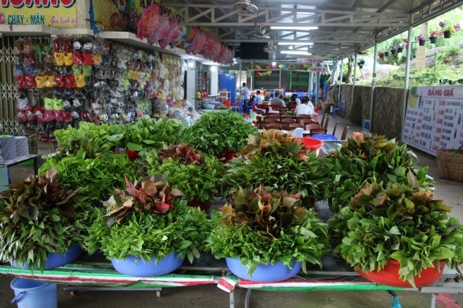 Colorful stalls of wild vegetables