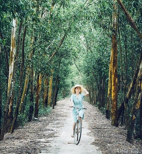The peaceful beauty of Tra Su forest