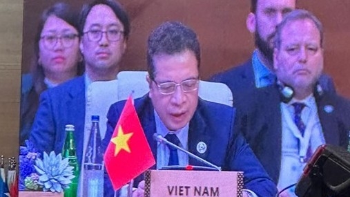 Vietnam attends Baku Summit of NAM Contact Group in response to COVID-19