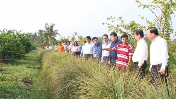Minister urged Long An province to boost agro-tourism