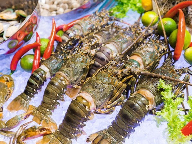 Chinese market favours Vietnamese lobster but prices are rocky