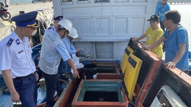 Ba Ria-Vung Tau expected to put an end to IUU fishing