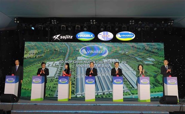 Vinabeef Tam Dao livestock, beef processing complex project launched Vinabeef Tam Dao livestock, beef processing complex project launched