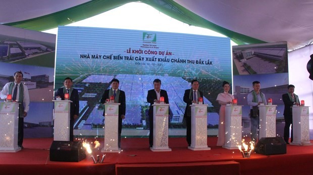 Fruit processing factory for export launched in Dak Lak