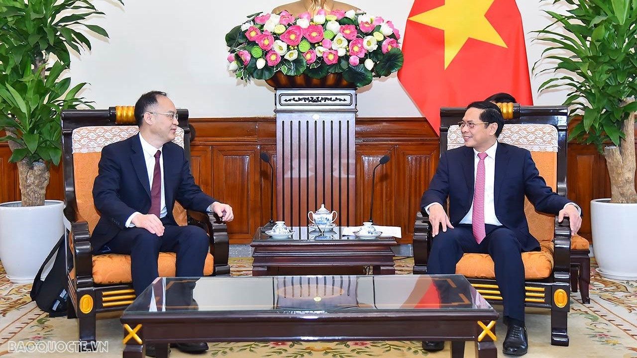Foreign Minister Bui Thanh Son received Chinese Assistant Minister of Foreign Affairs Nong Rong