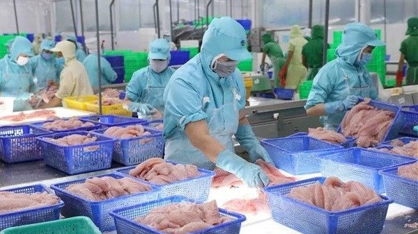 Tra fish exports may recover from third quarter