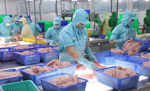 Tra fish exports predicted to recover from third quarter