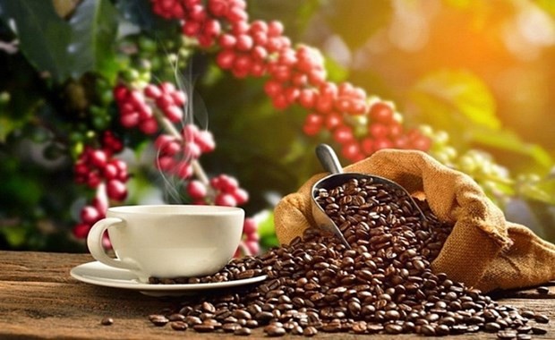 Vietnam was Spain's largest supplier of coffee by volume in 2022. - Illustrative image (Photo: vneconomy.vn)