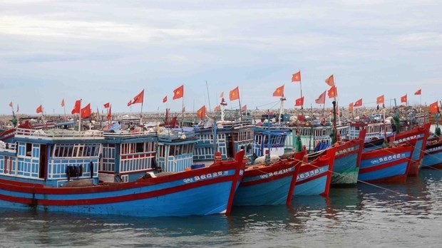 Thai Binh works hard to better manage fishing ports