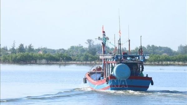 Quang Tri develops sustainable fisheries, fighting IUU fishing