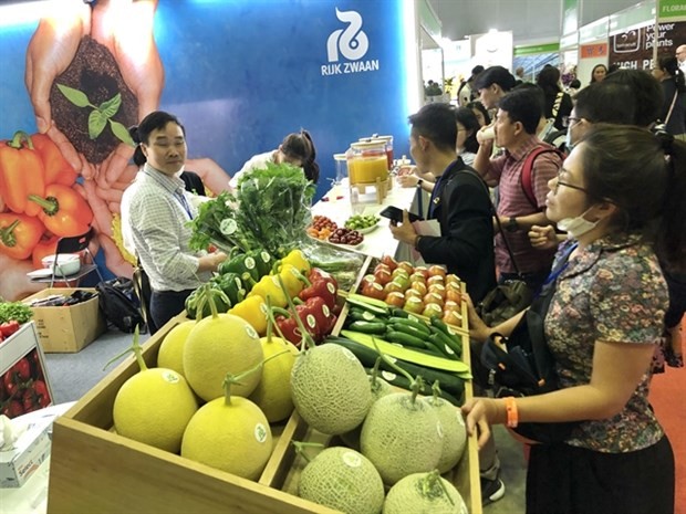 Vietnam has great opportunity boosting exports to Middle East, North Africa: MOIT
