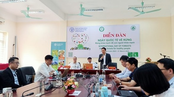 Forum marks Int'l Day of Forests  with theme “Healthy Forests for Healthy People”