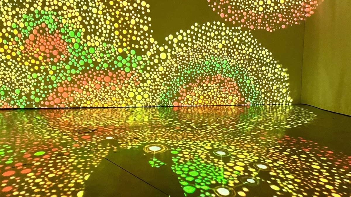 Immersive multimedia installation 'Walking through a Songline' opens in Ho Chi Minh City