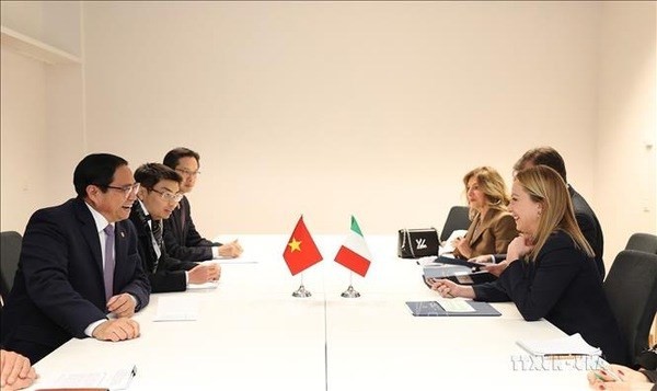 Vietnam-Italy relations witness progress over 50 years: Ambassador