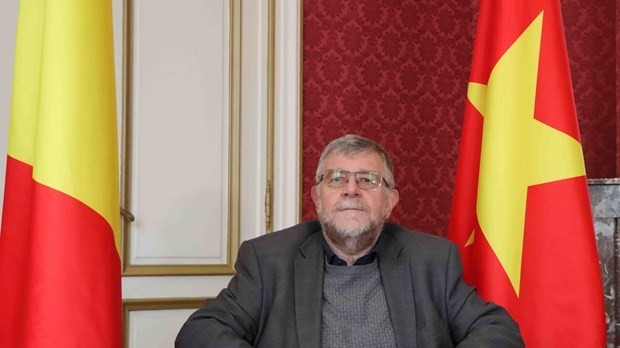 Vietnam - Belgium ties develop into economic partnership: President of Friendship Association