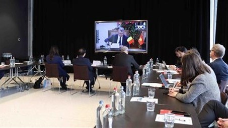 Binh Dinh introduces economic, trade potential to Belgian businesses