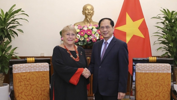 Vietnam always attaches importance to comprehensive partnership with Chile: FM
