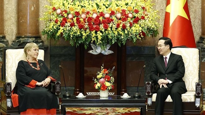 President Vo Van Thuong hosts former Chilean President Michelle Bachelet